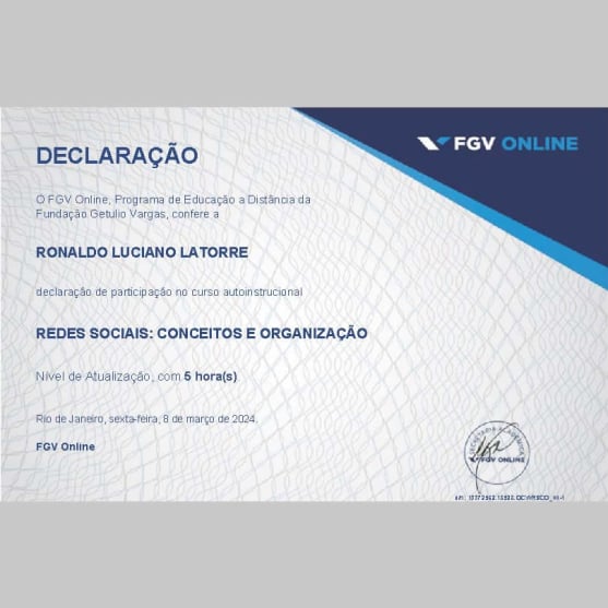 FGV - Online