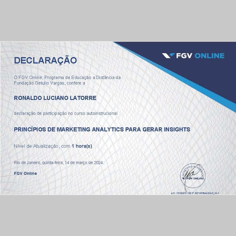 FGV - Online